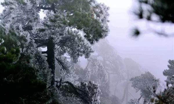 枪弹地牢