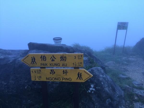 世界大胃王乱吃东西:吞下木盒送情报,死后尸检伴随浓厚恶臭