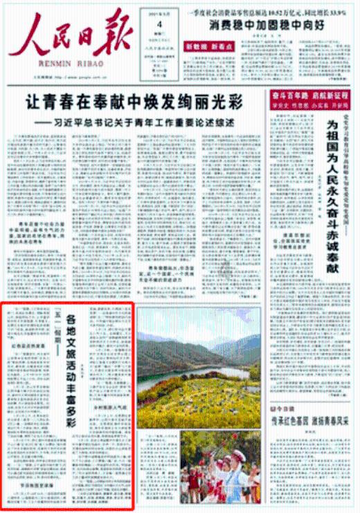 拯救机灵鸟