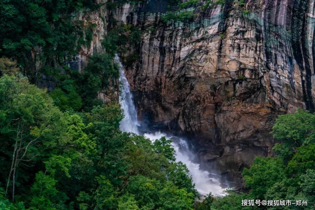 逗小猴开心系列204