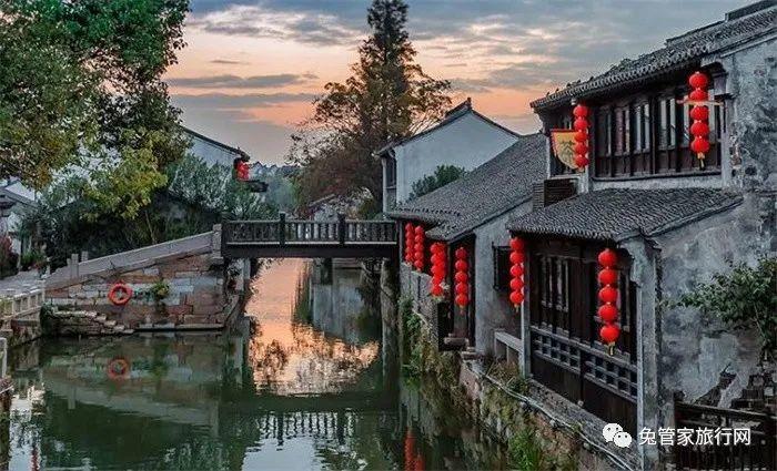 救援瓢虫宝宝